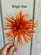 Bright Star